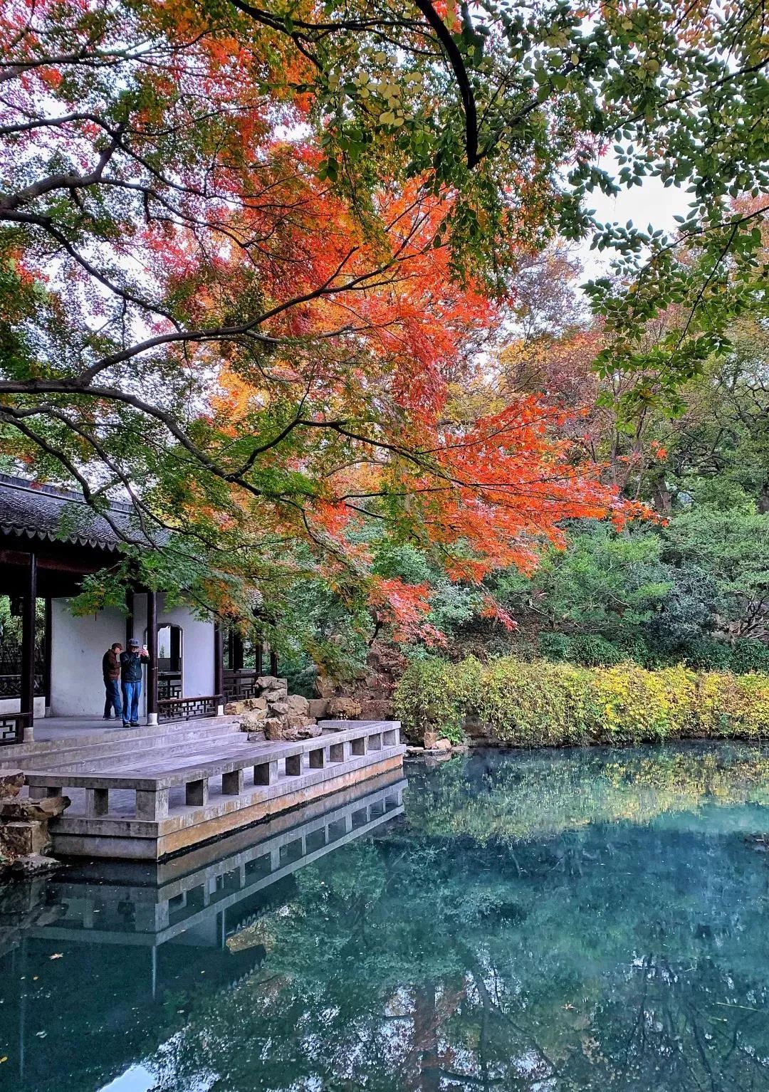 寄畅园 · 山水之间的静谧园林之美丨中国无锡-2