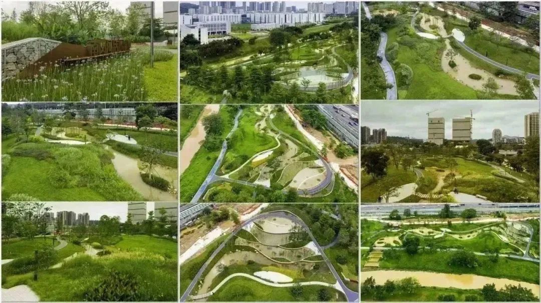 广州南岗河生态修复项目丨中国广州丨AECOM团队-29