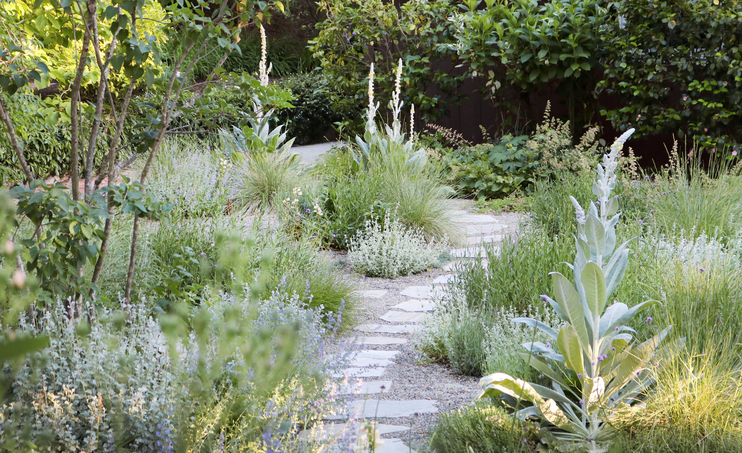 身边风景 | Soft Studio-110