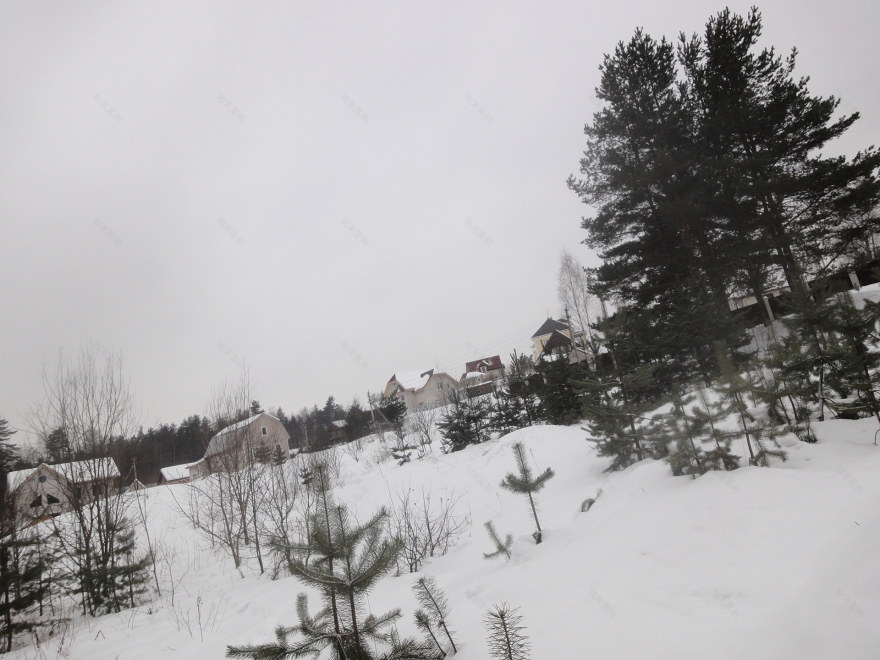 郊区房屋美化与绿化项目-6