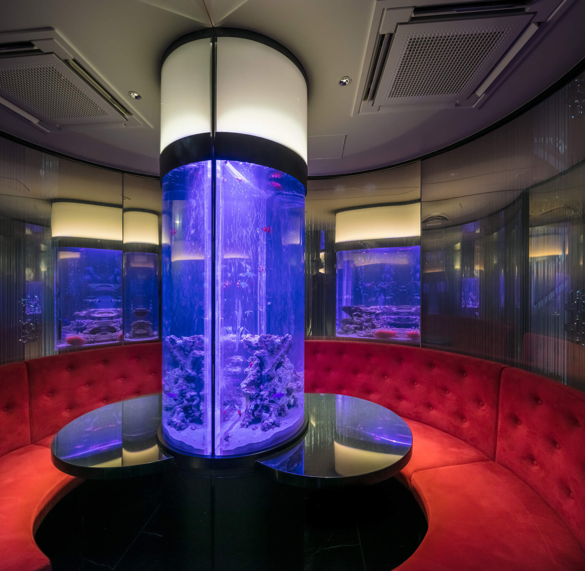 The Parallel Blue-11