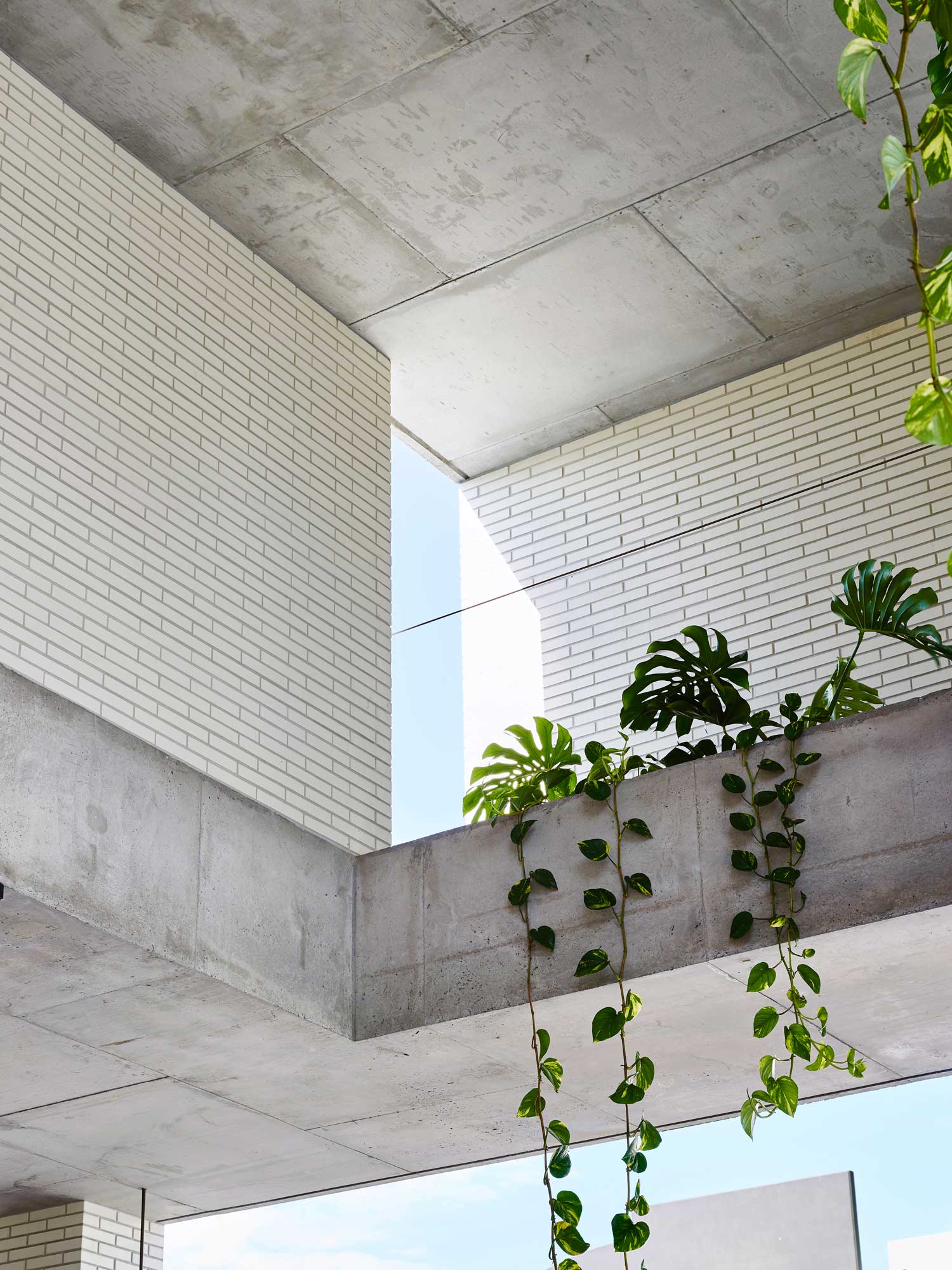 米尔恩街住宅，19 詹姆斯街，万多街，金发维纳斯零售店，砖厂设计工作室，唐娜·比昂达，测量公司，标准市场公司-15