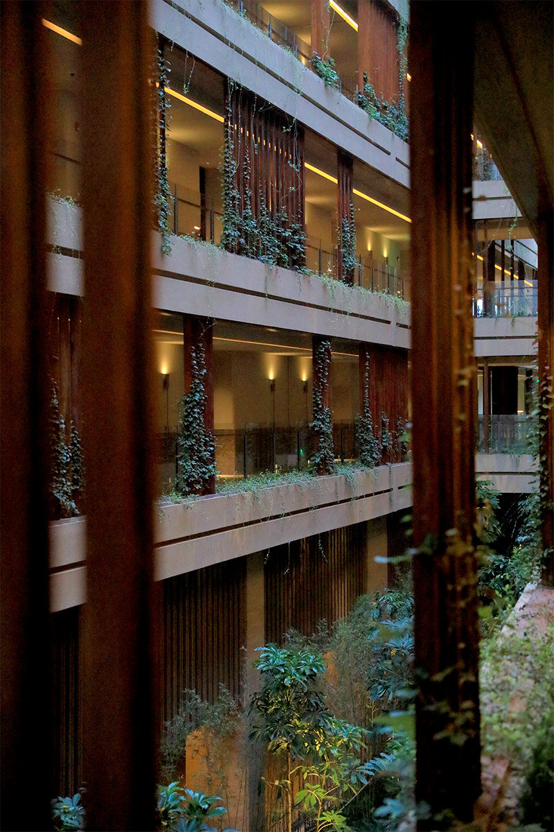 阿丽拉珠海东澳岛酒店丨中国珠海丨HSD水平线设计-242