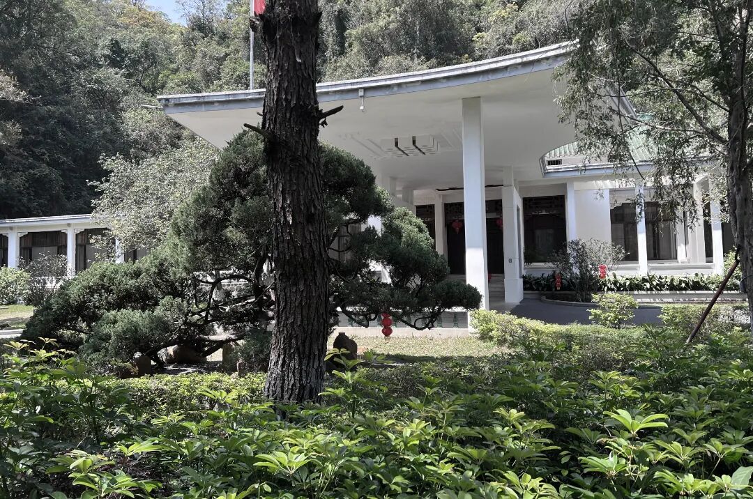 广东温泉宾馆松园一号户外园林景观改造工程丨中国广州-47