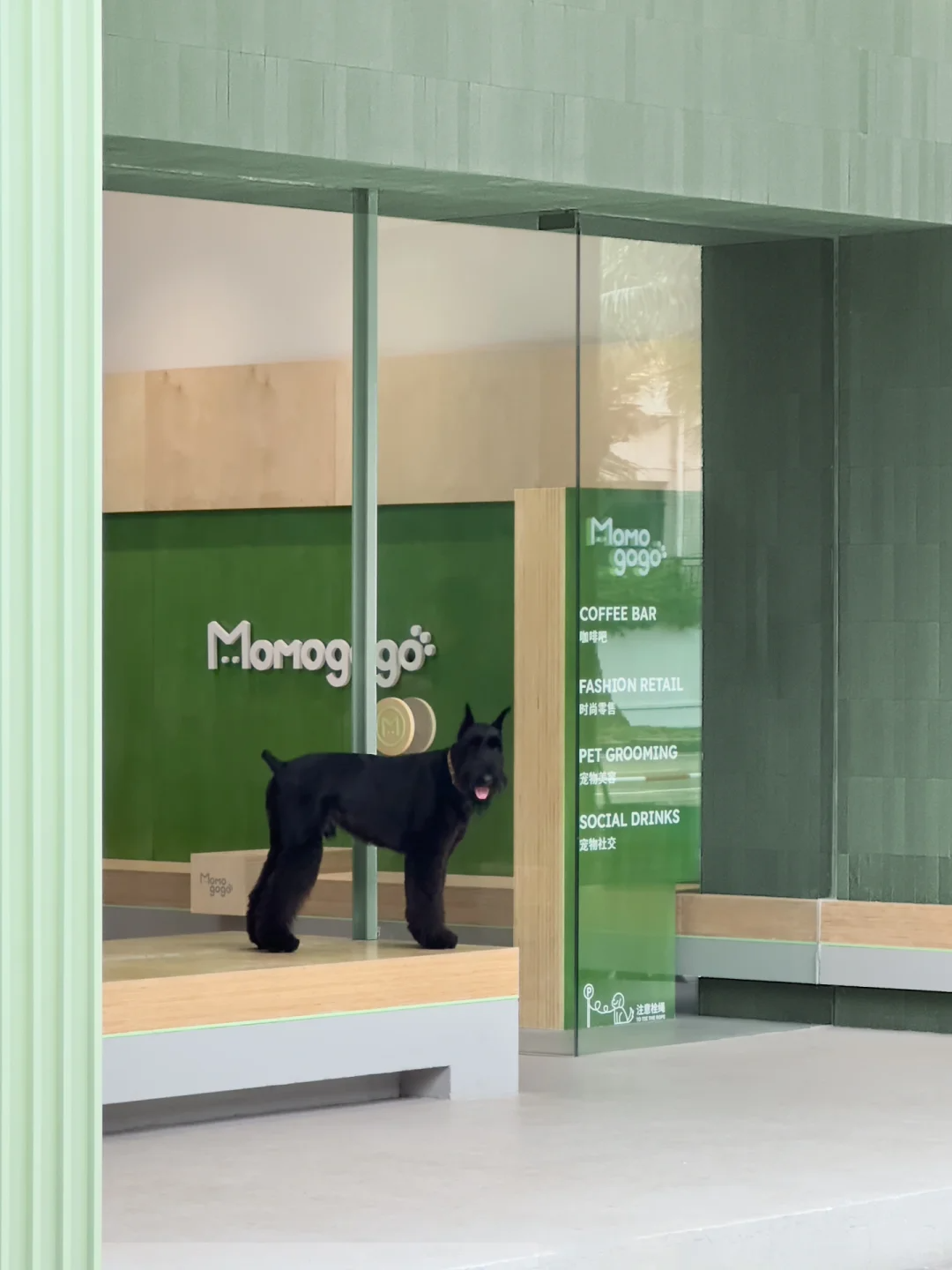 海南▶Momogogo人宠都市绿洲——毛孩子的友好综合空间-1