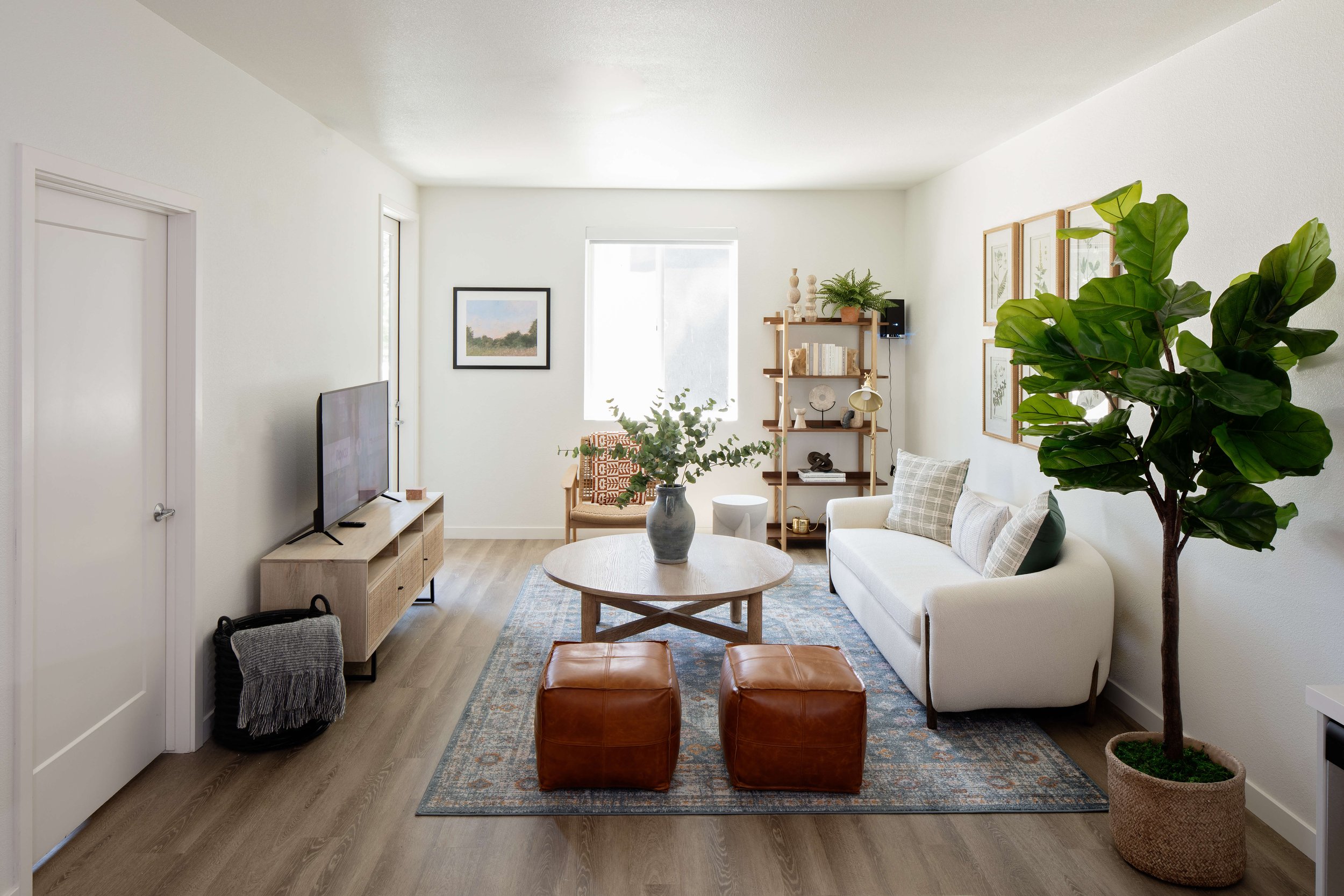 丨美国加利福尼亚-63