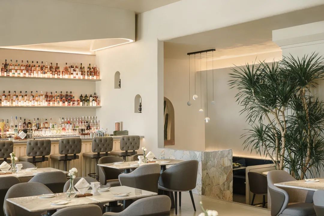 TARENTUM 萄木·Café BAR丨中国深圳丨RBD DESIGN BOX-25