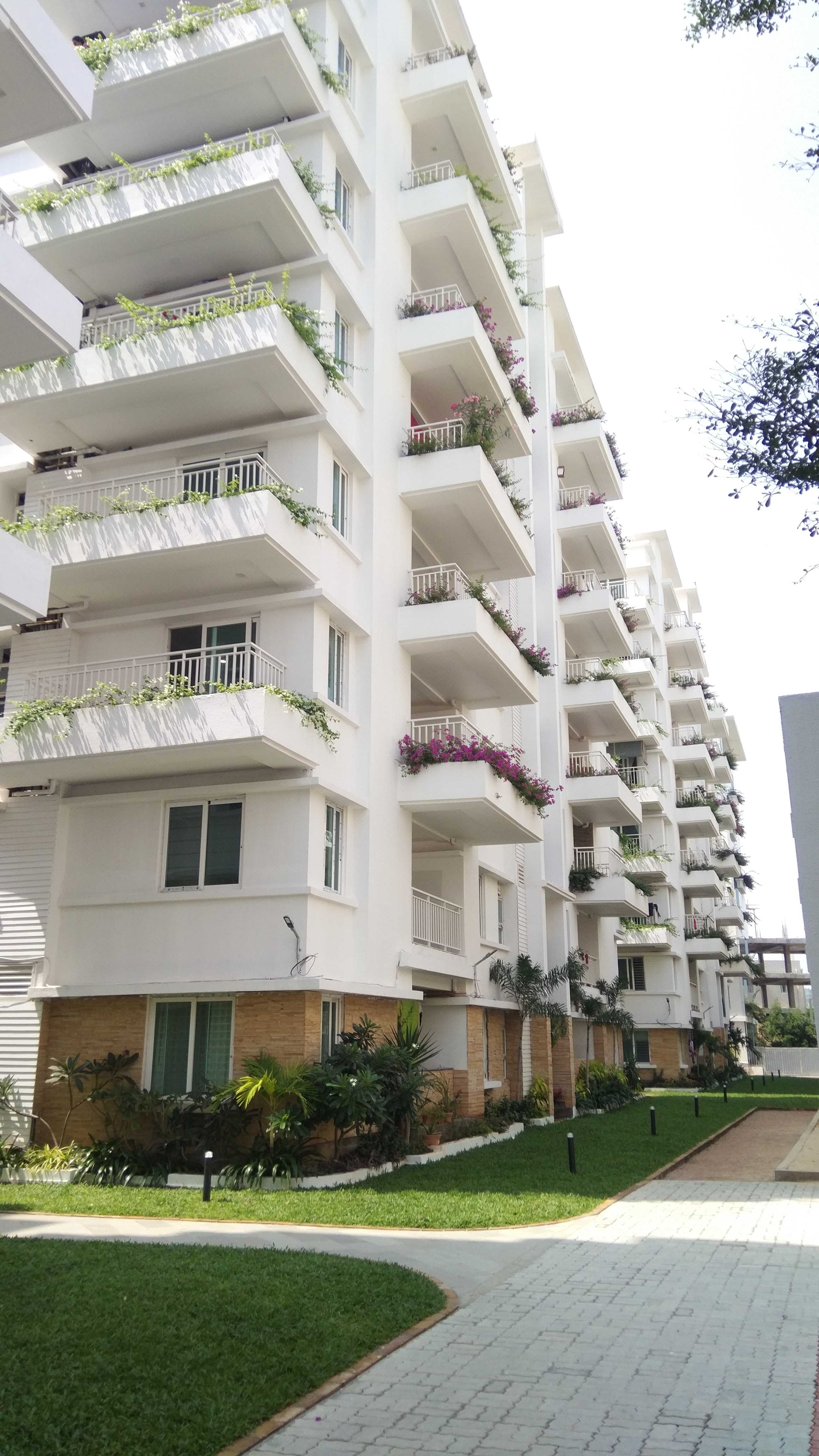 svc treewalk aquaria-4