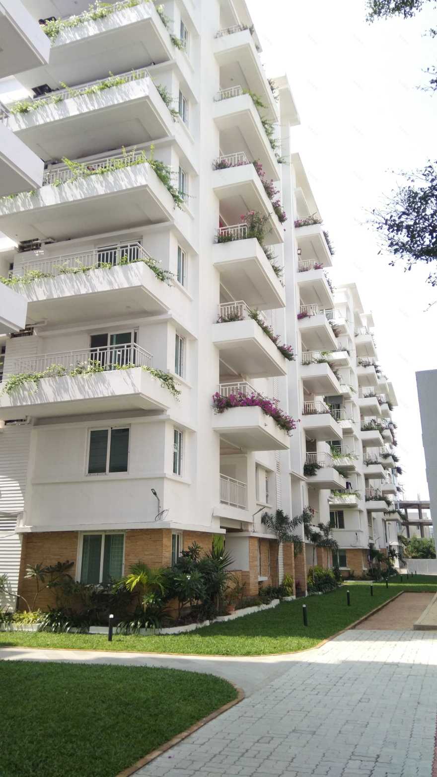 svc treewalk aquaria-4