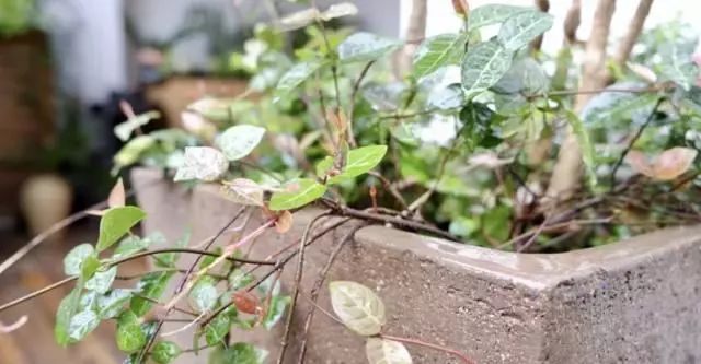 阳光里的美好片段-30