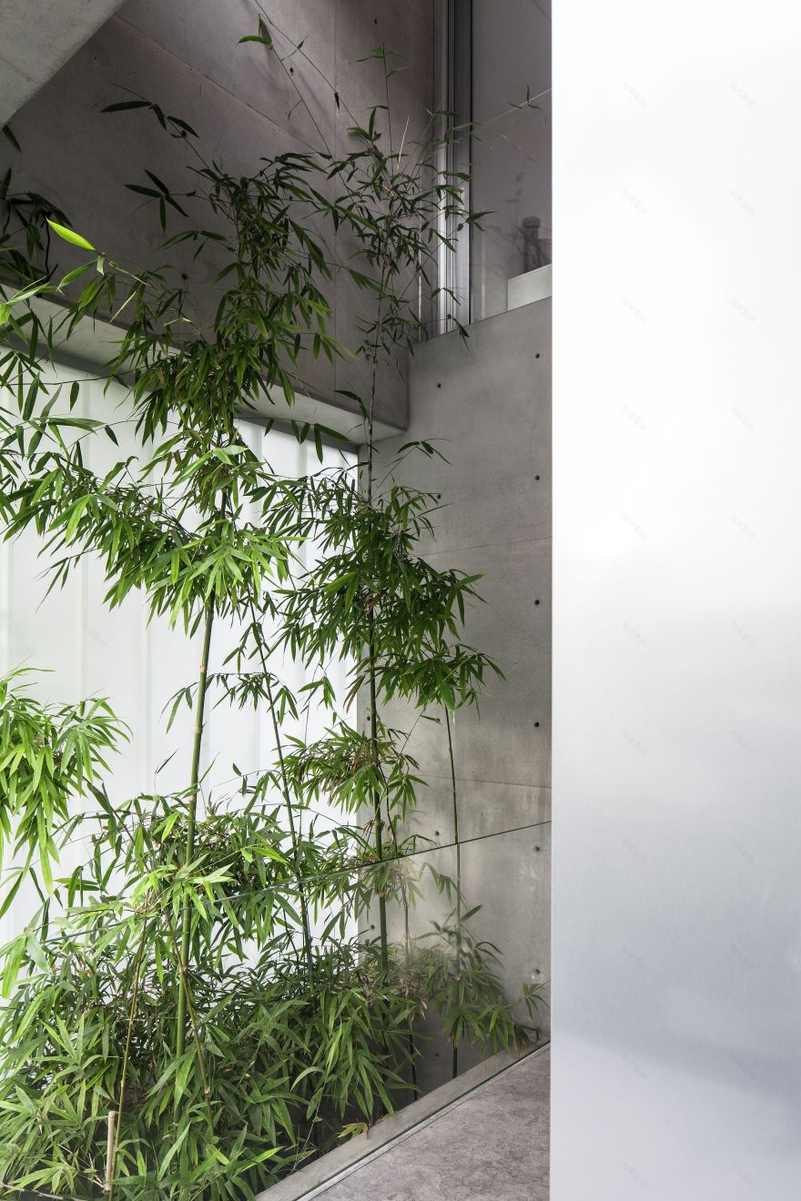 割裂与连接 | 混凝土与玻璃的共生之作-40