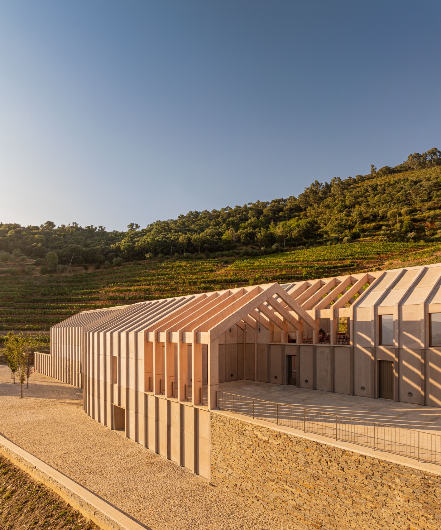 Quinta de Adorigo酒庄丨葡萄牙杜罗丨Atelier Sergio Rebelo等多家团队及个人-25