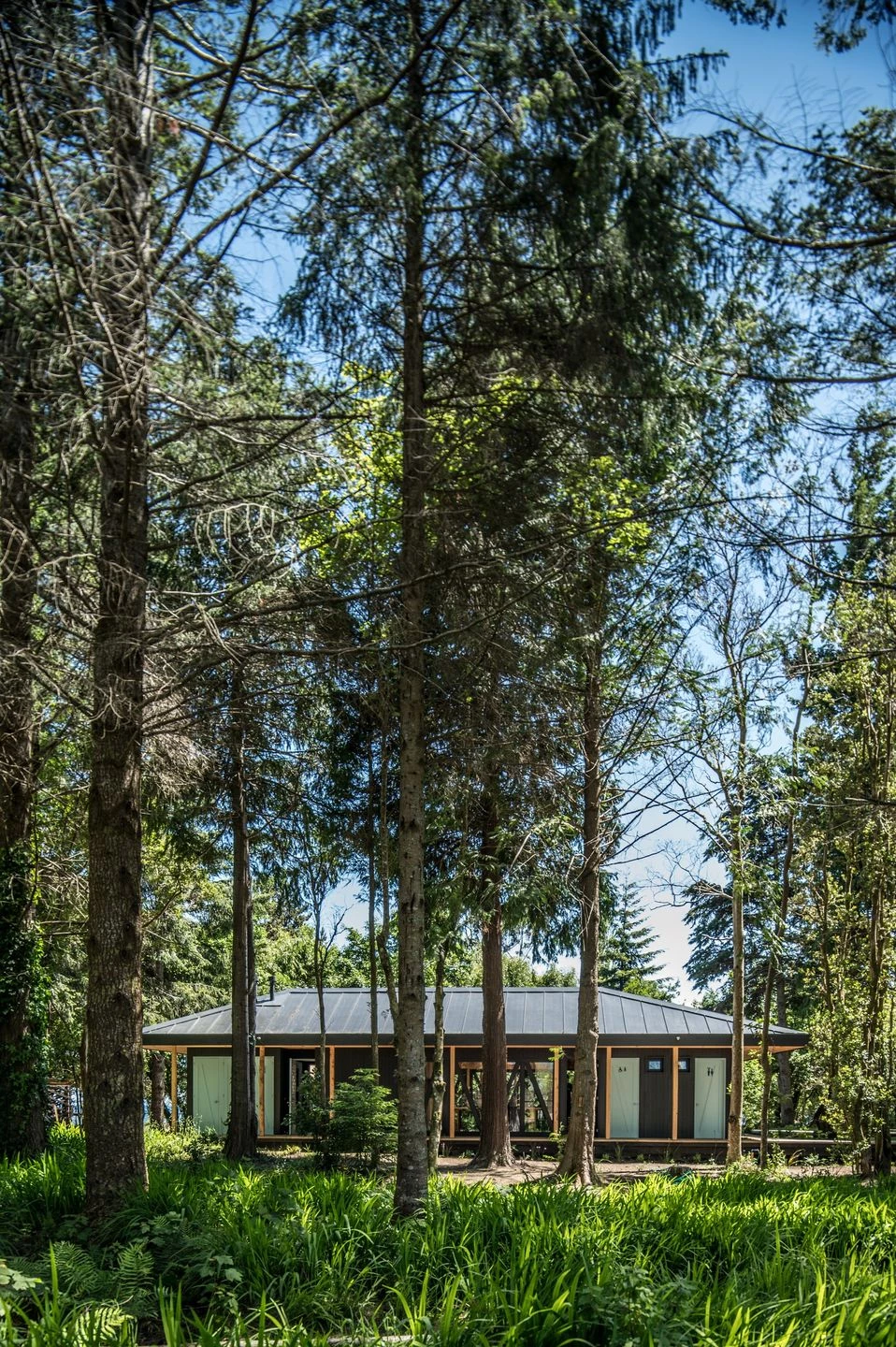 智利湖畔森林中的舒适用餐空间-19