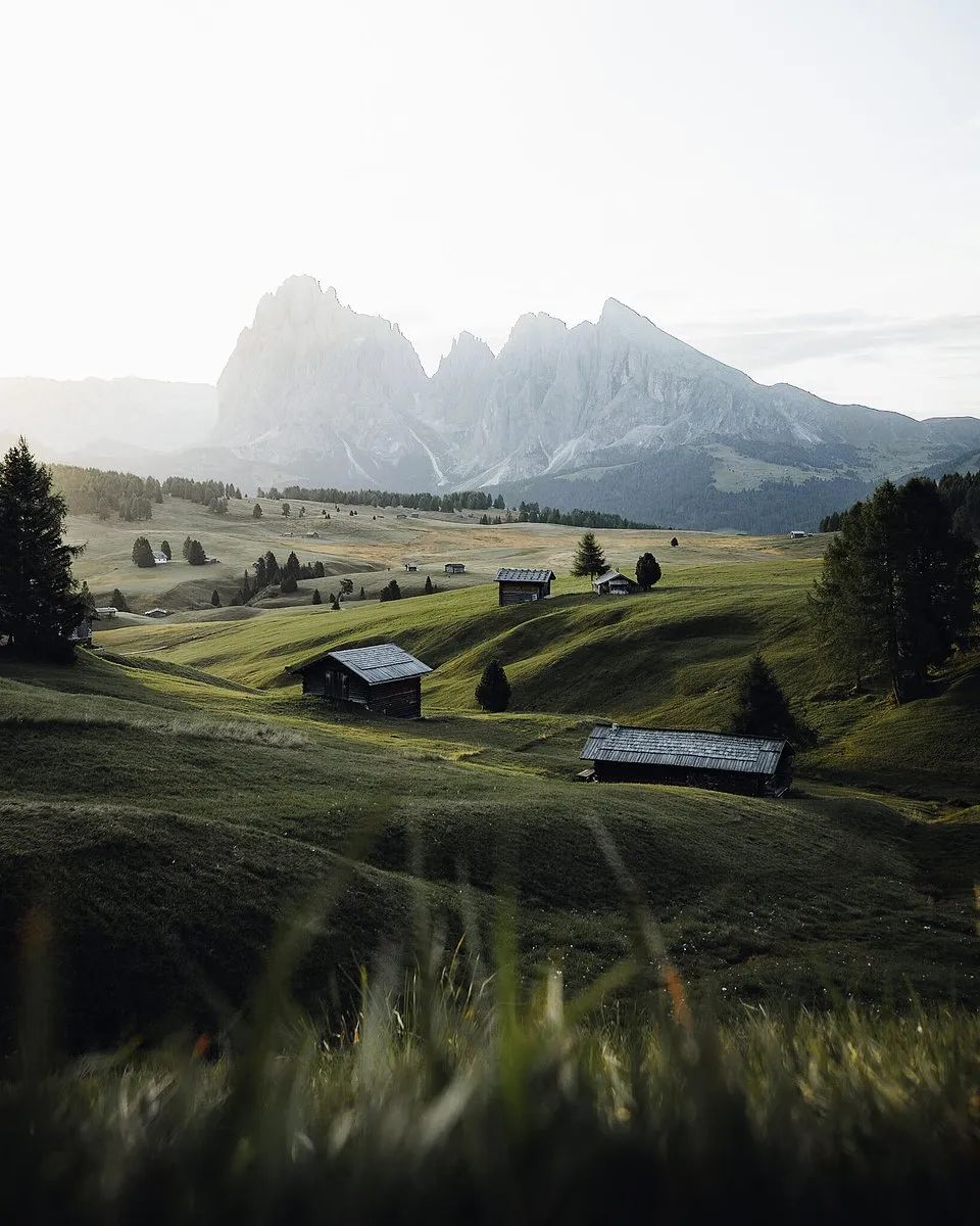 绿色震撼心灵 | 全球绿色摄影大赛获奖作品欣赏-74