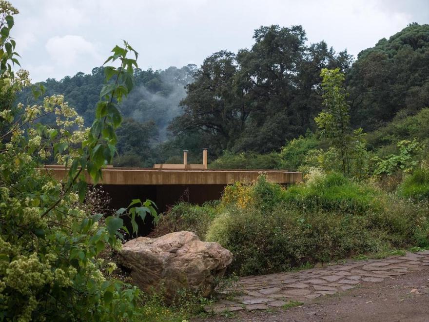 墨西哥城720度住宅丨费尔南达·卡纳莱斯-6