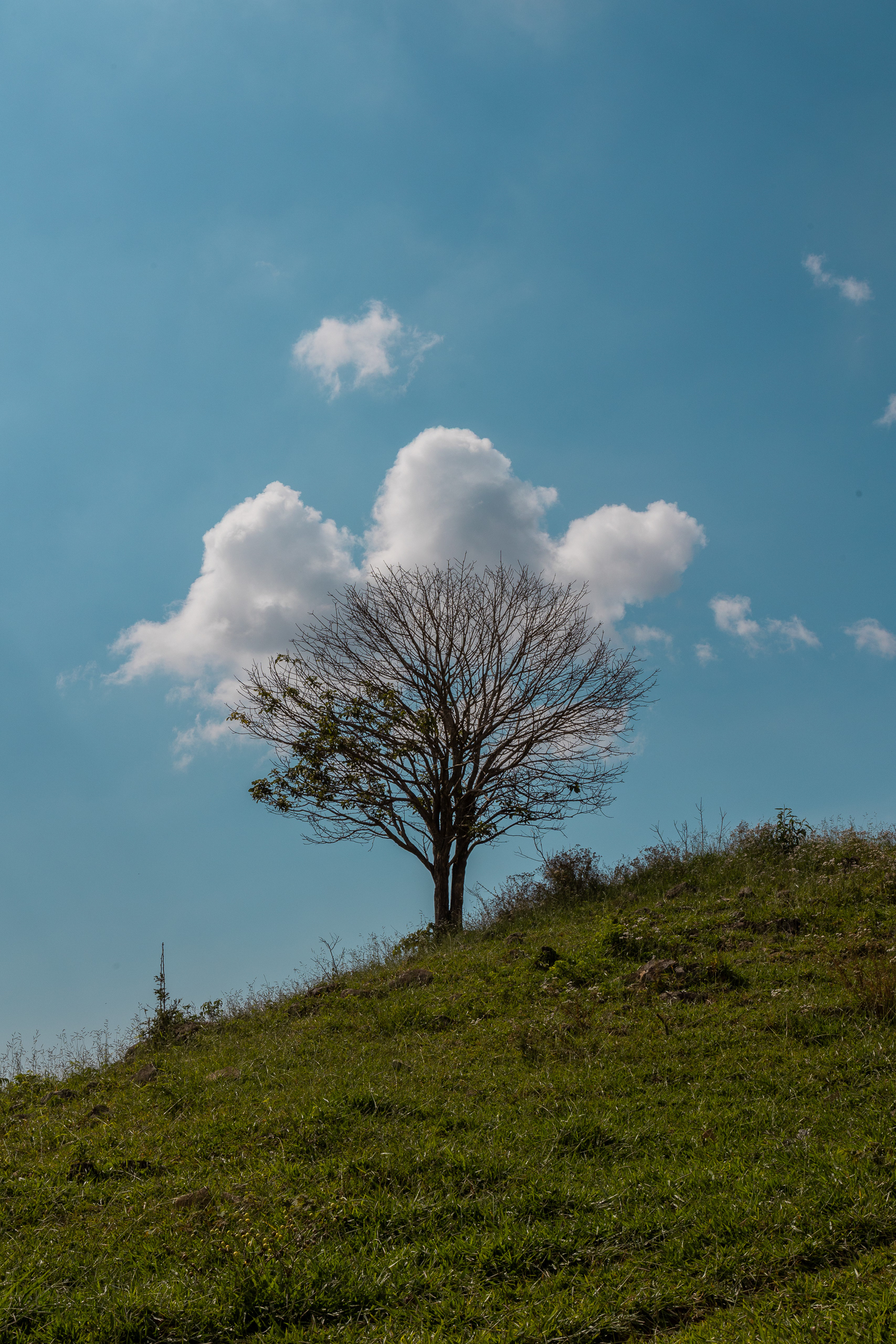 教堂建筑丨Oscar Niemeyer-12