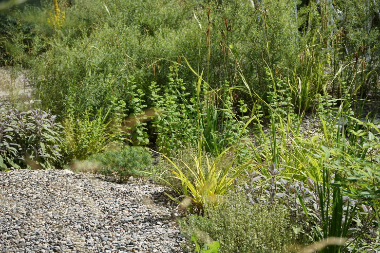 Berchtold.Lenzin Landschaftsarchitekten丨Wohnüberbauung Bachgraben丨瑞士-8