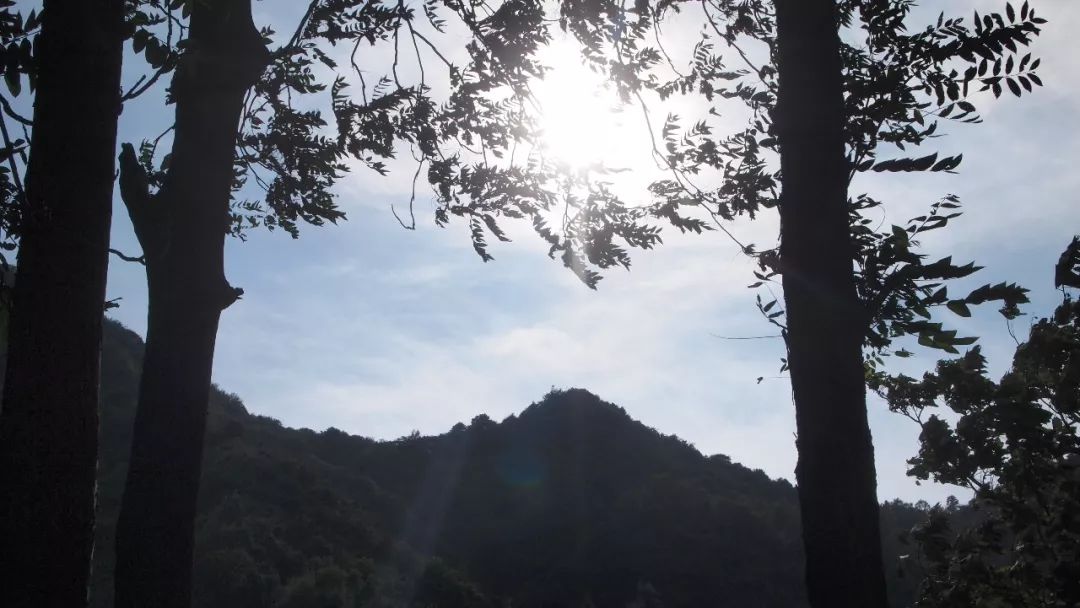 终南山书院 | 回归自然的诗意栖居-61