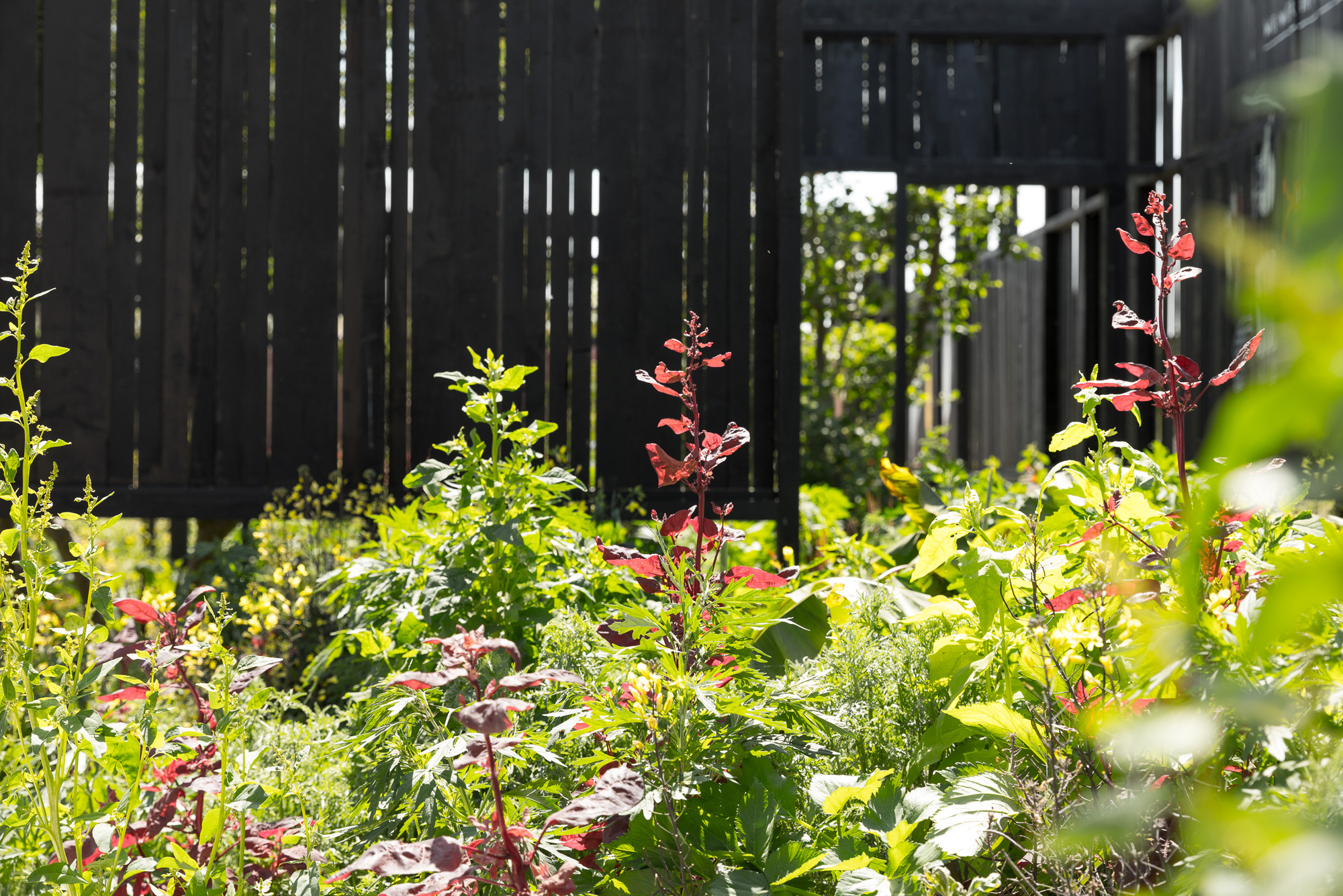 Floriade Pavilion - The Voice of Urban Nature / Overtreders W-61