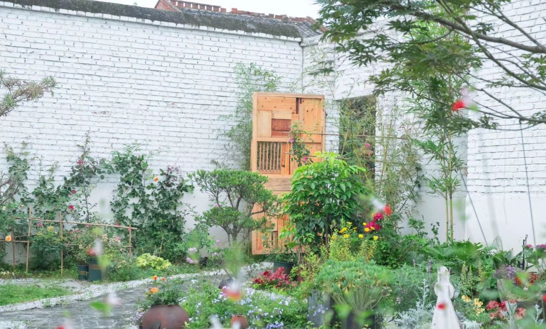 11 个陌生人同居 3 年,私生活首次曝光 | 看似佛系,实则野心勃勃-138