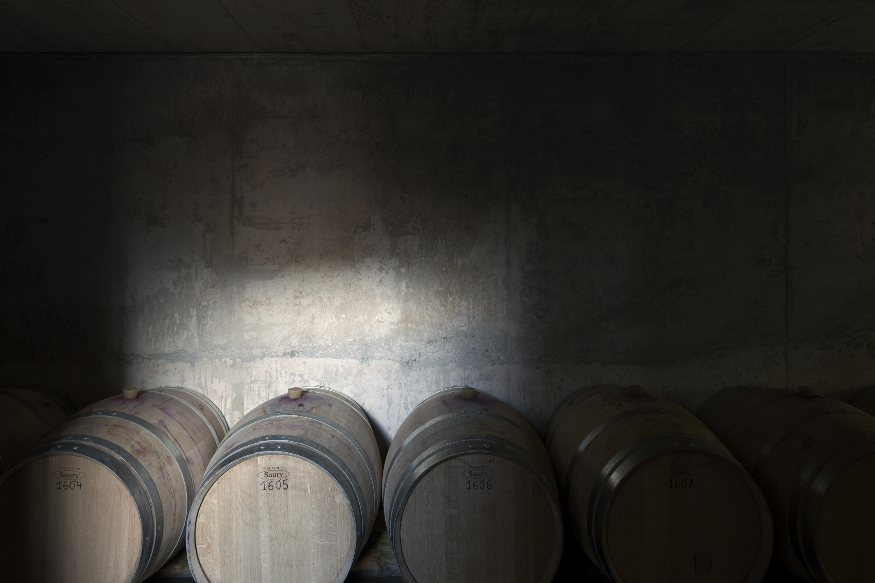 杜萨特·佩德隆酒庄的再生设计-21