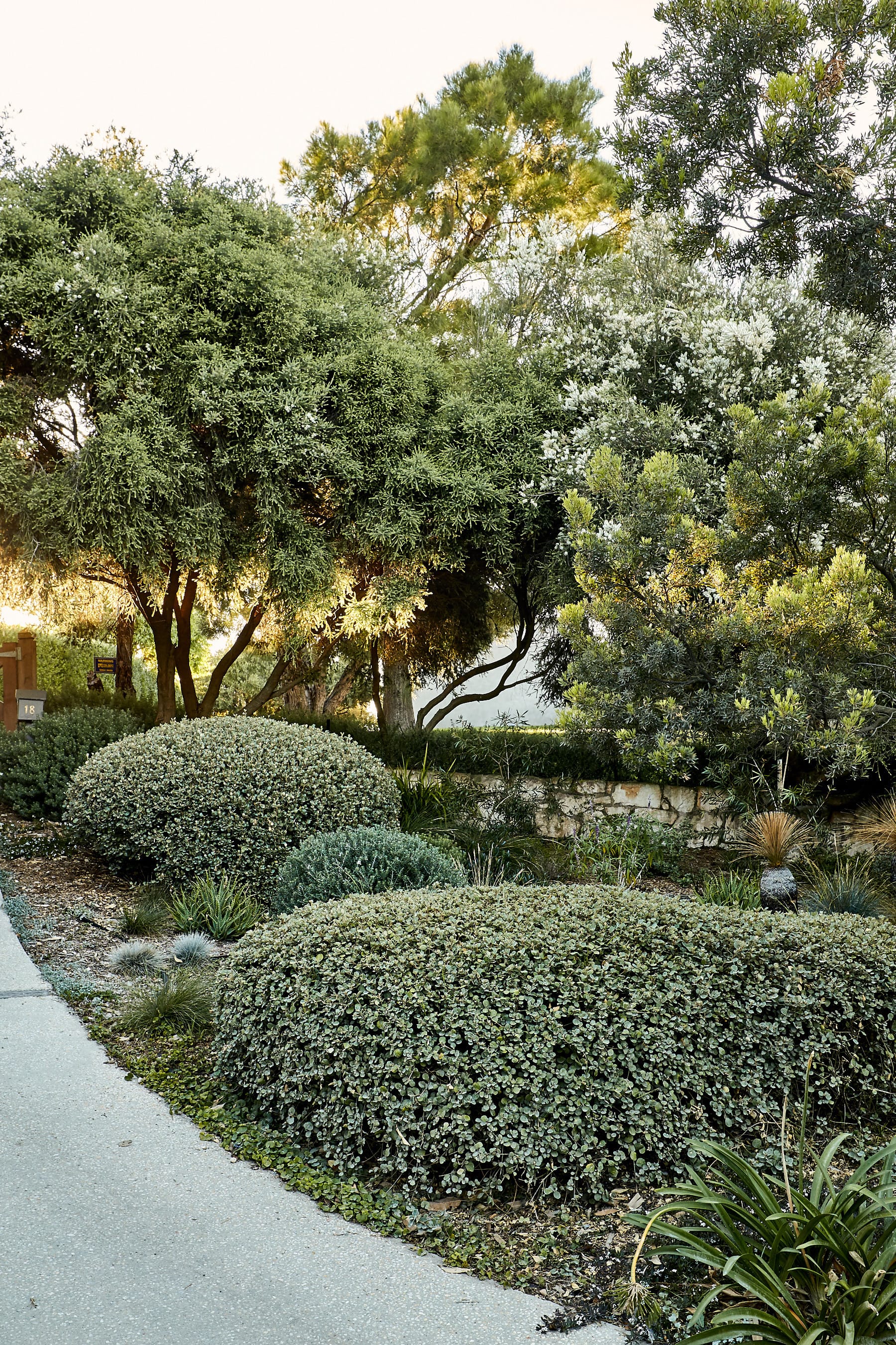 莫宁顿梦境花园-36