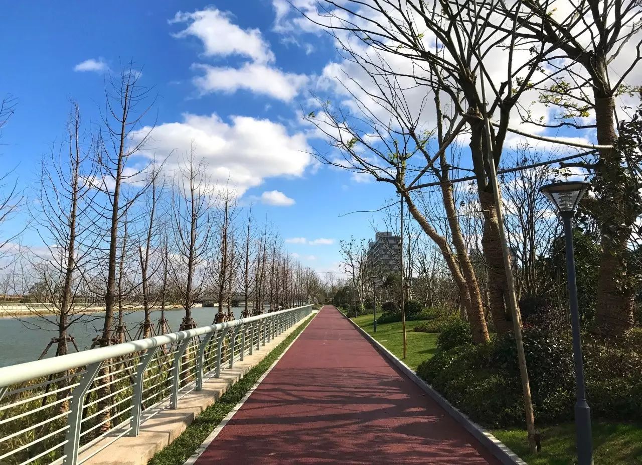 YB. GROUP ♦ 崇明岛-朱雀河公共滨水绿廊-41