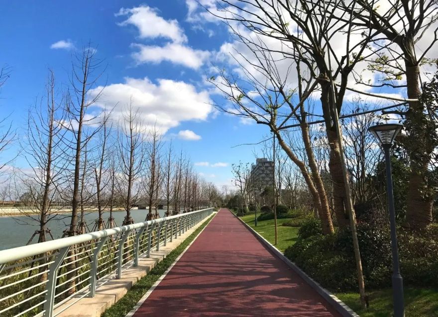 YB. GROUP ♦ 崇明岛-朱雀河公共滨水绿廊-41