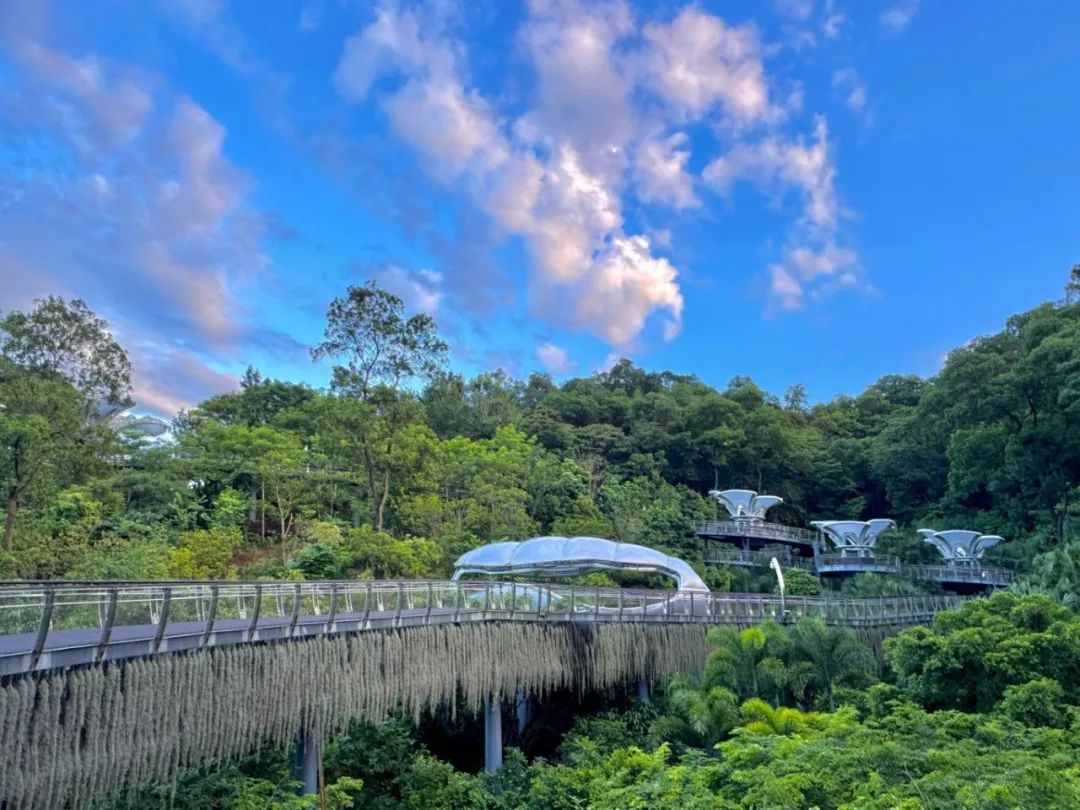 广州云萝植物园丨中国广州丨广州普邦园林股份有限公司-24