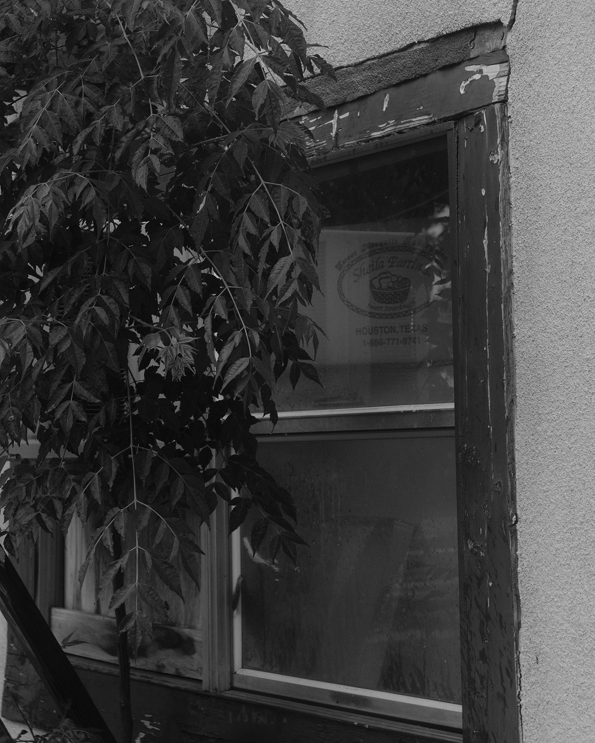 疫情之梦 · 遗忘与记忆的空间-8