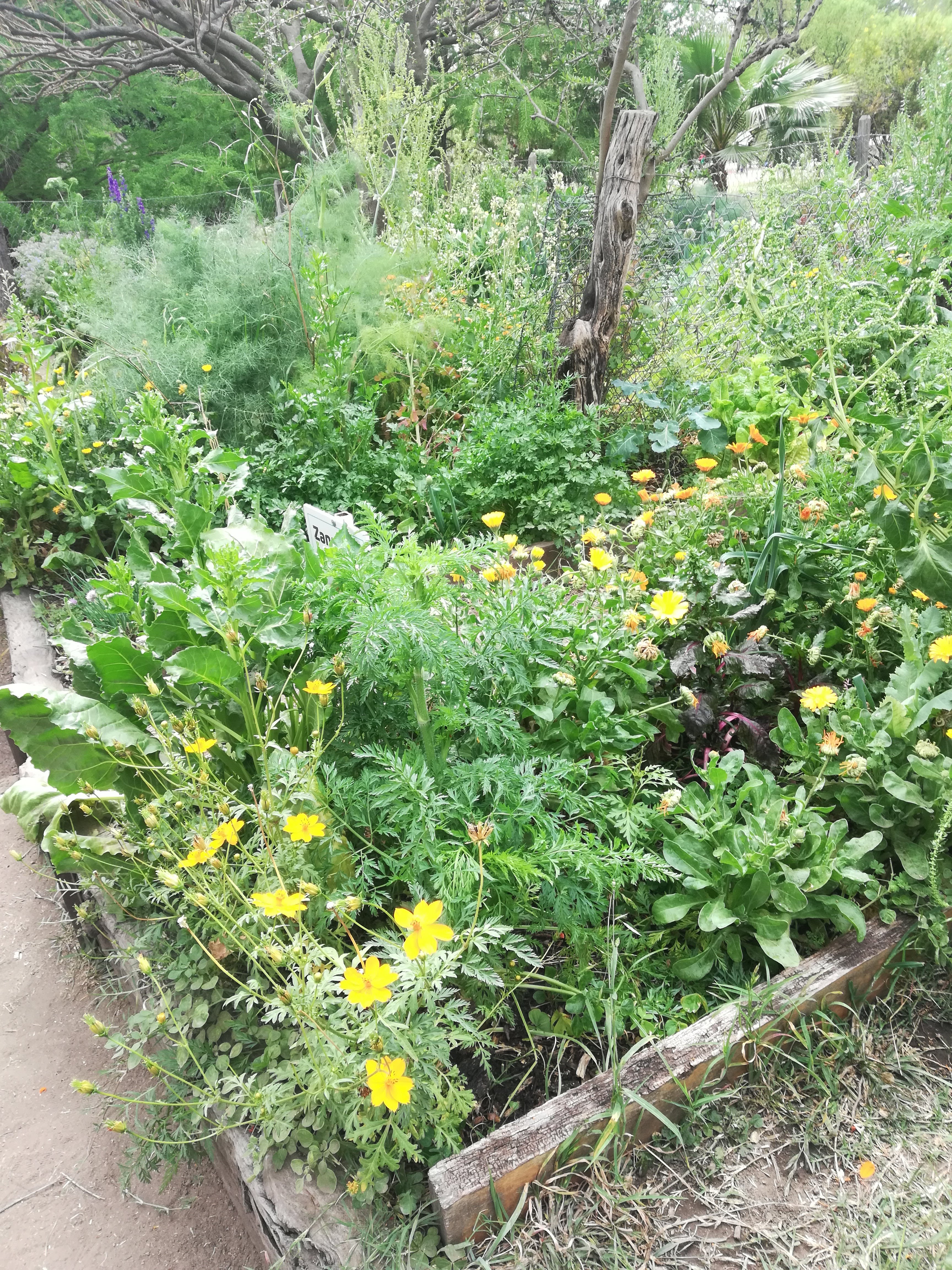 Jardín Botánico CBA, AR-8