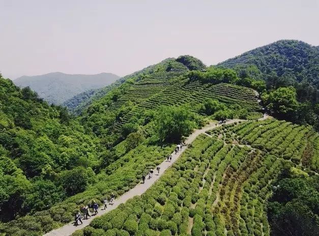 避暑｜就去杭州山中过“小森林”里的生活-75