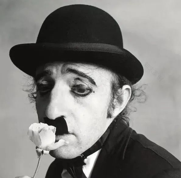 灰色调的美学魅力 | 极简与温情的和谐共生-1