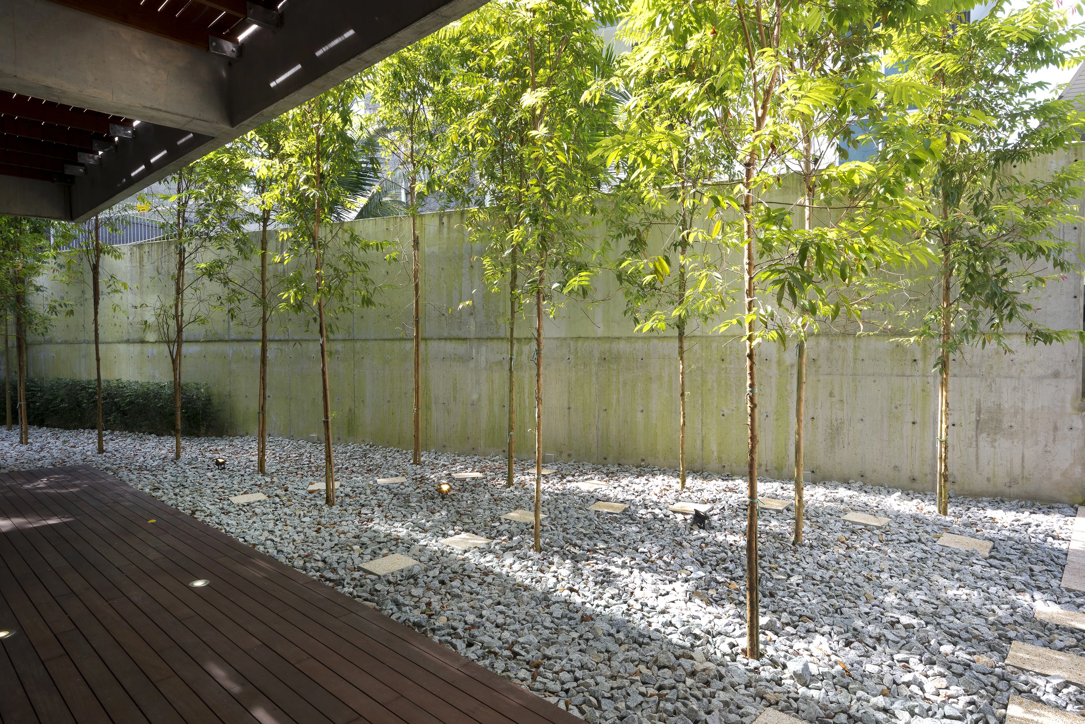 绿色家园 No·18-19