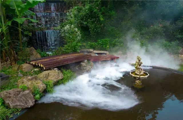文艺大叔租下8亩林场，花16年种花养草，如今惊艳世人，连美国杂志都给他点赞-18