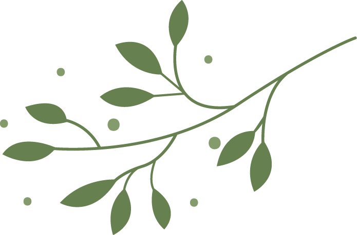 Camberwell 住宅的现代中世纪设计丨澳大利亚丨INFORM DESIGN-13