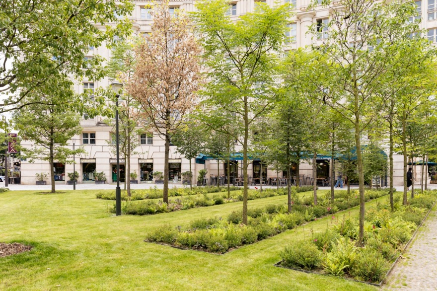 巴黎加泰罗尼亚广场城市森林改造项目丨法国巴黎-36