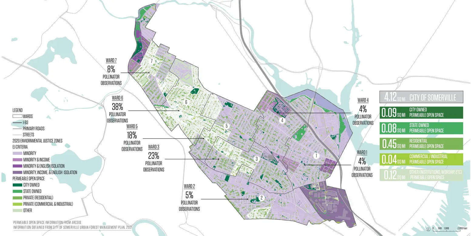 萨默维尔授粉昆虫行动计划丨美国丨Offshoots,Inc.-19