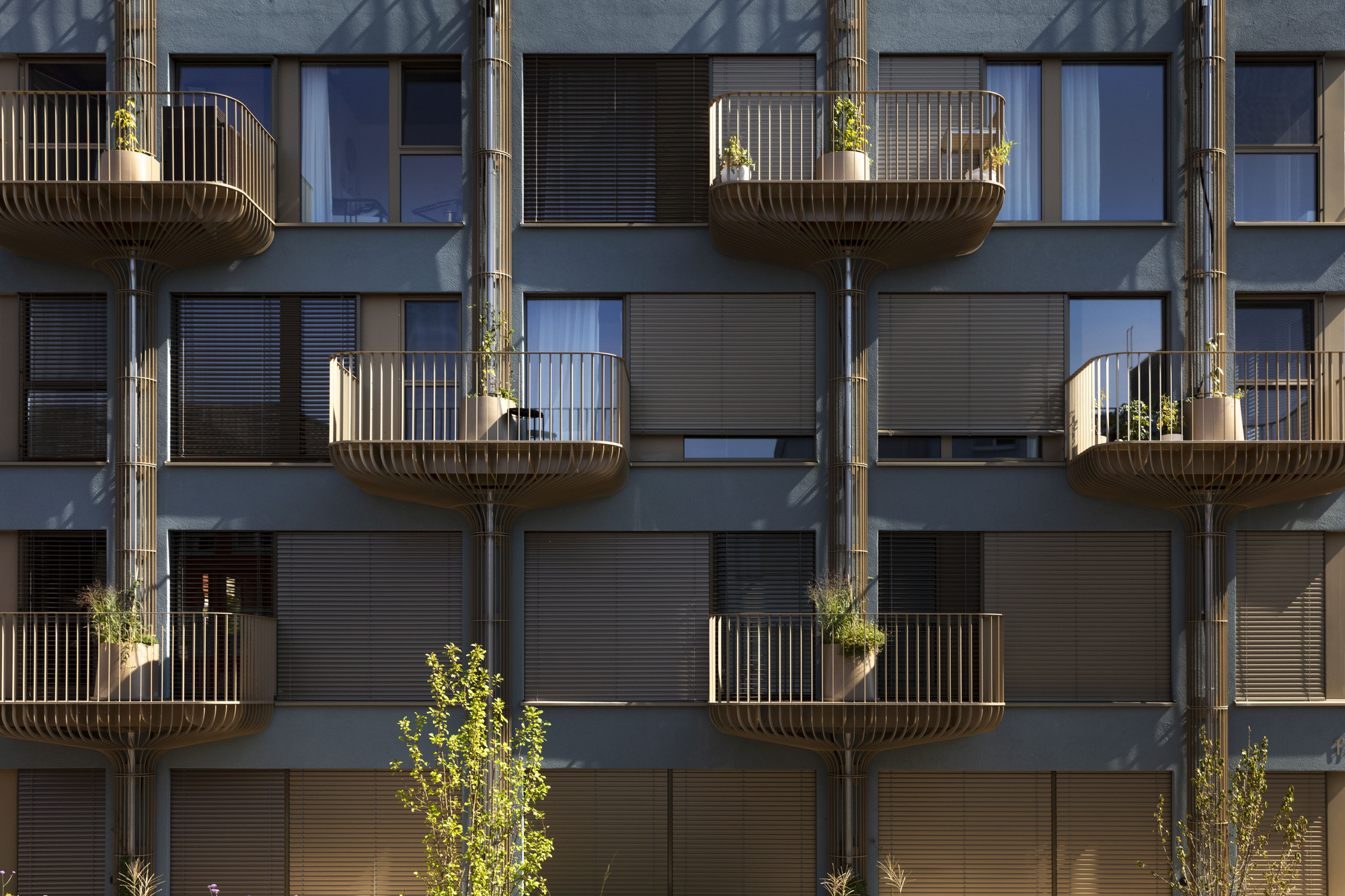 新林登花园大楼丨瑞士丨Volpatohatz-40