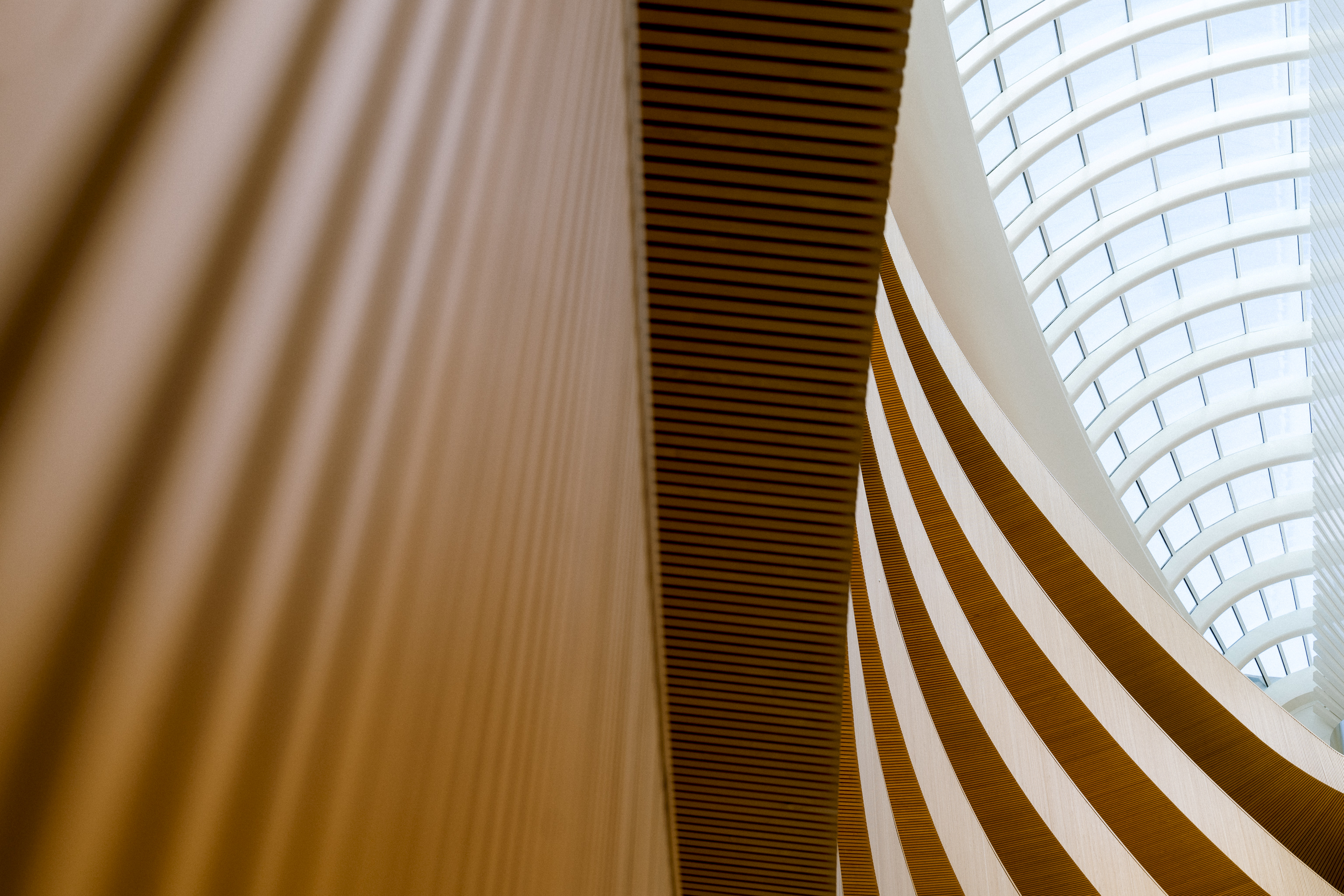 苏黎世大学法学院图书馆丨瑞士苏黎世丨Santiago Calatrava-11