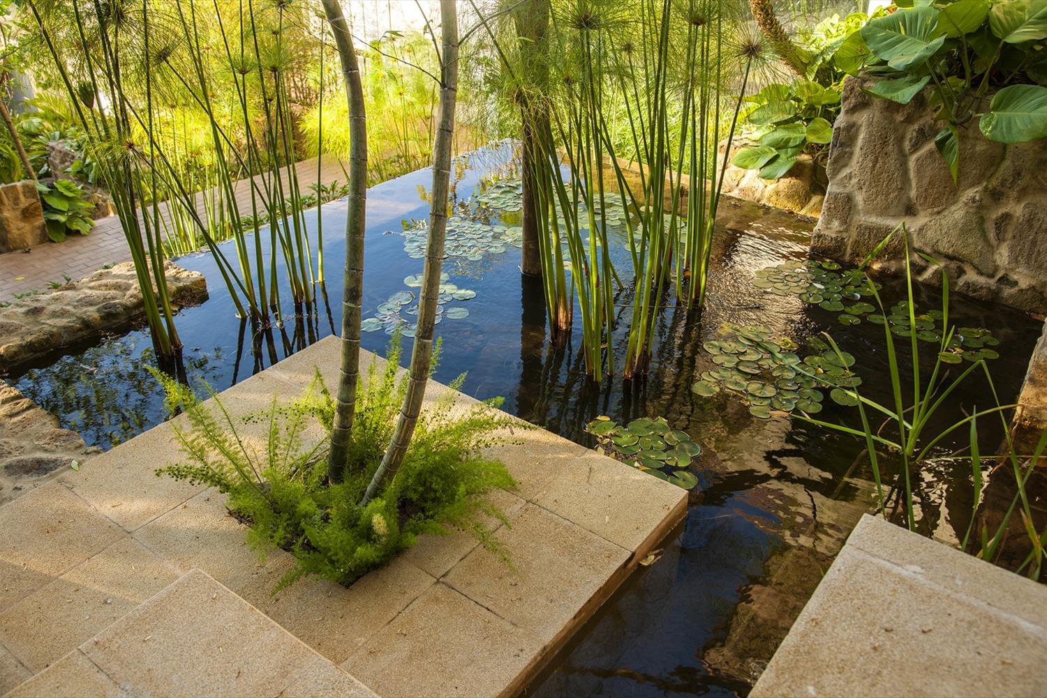 巴西 Hotel TW Guaimbê | 木质环保设计，尽享海滨风光-8