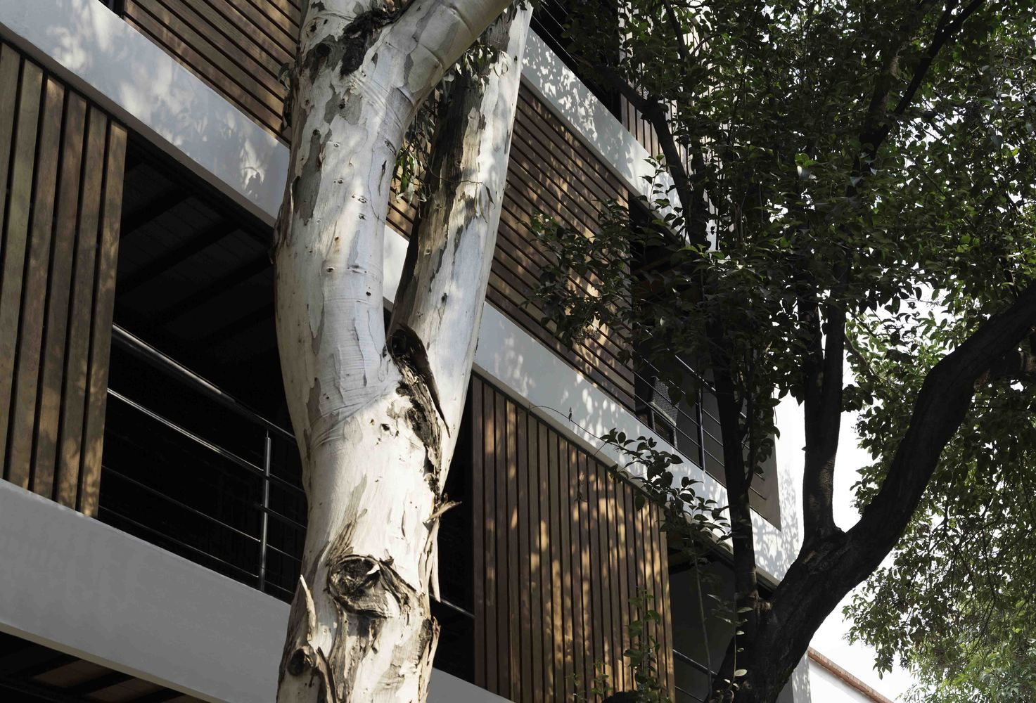 墨西哥城中心地带的里奥波 32 号住宅大楼-22