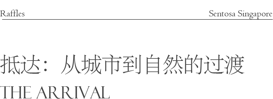圣淘沙莱佛士酒店丨新加坡丨Yabu Pushelberg设计-19