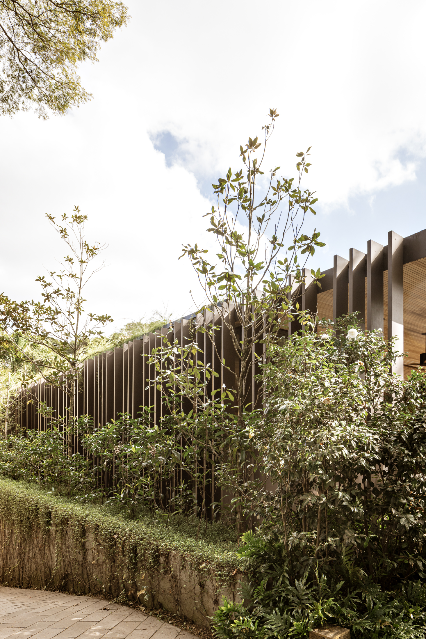 热（JE）居所 + 附属建筑

注：这里Ane·o推测可能是anexo （在葡萄牙语、西班牙语等语言里有附属建筑、附加物等意思 ），因根据现有信息难以百分百确认，若与实际不符，请补充更多背景信息 丨Cape VerdePaul丨Jacobsen Arquitetura-49