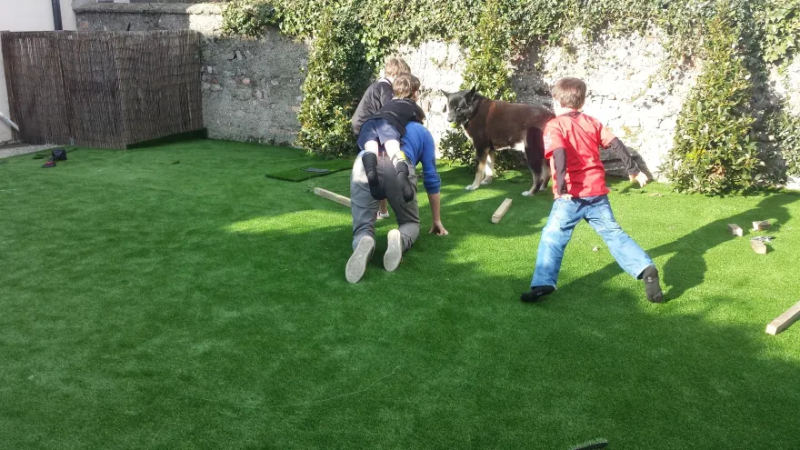 Ranelagh花园人造草皮景观项目丨爱尔兰都柏林-58