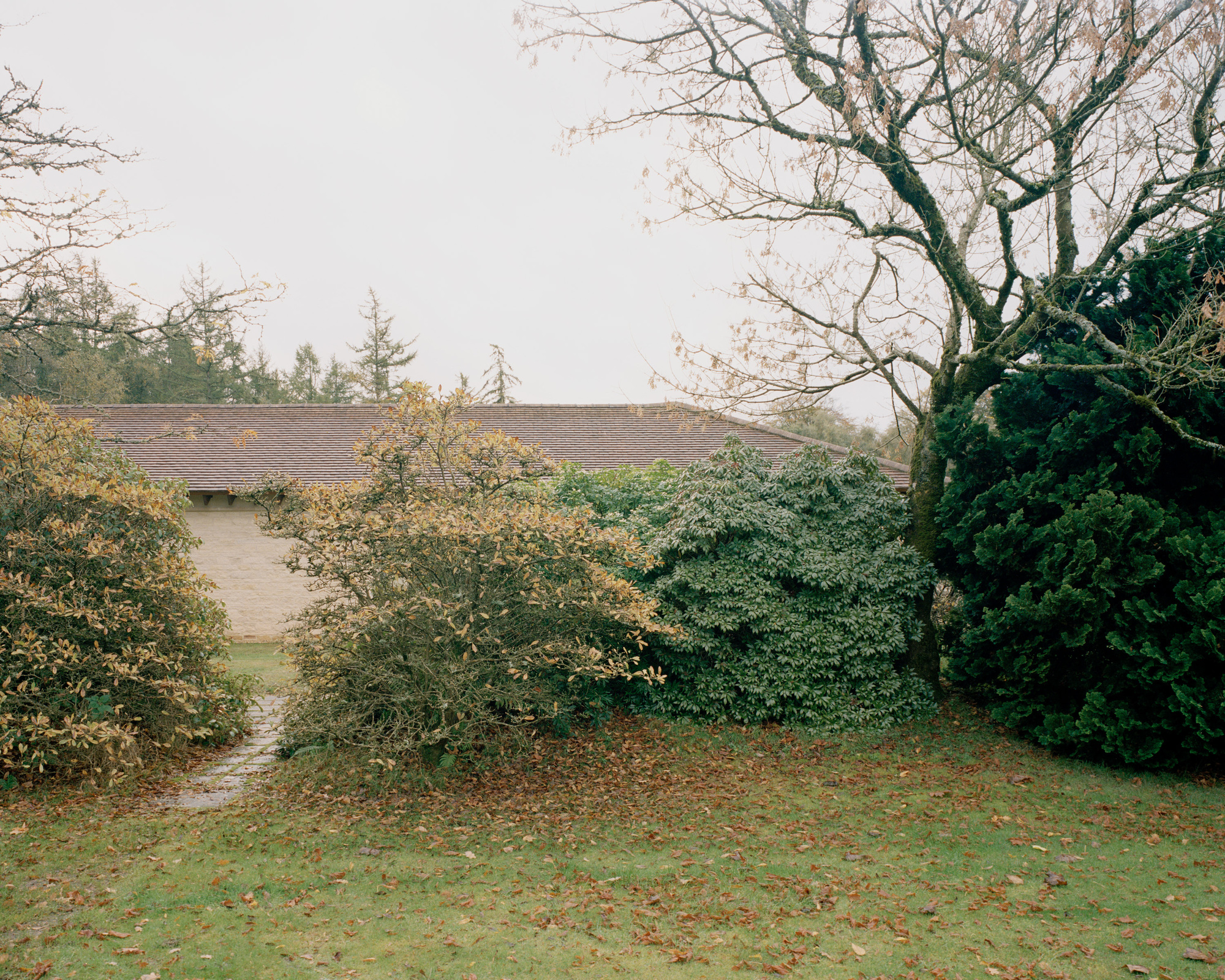 偷听屋丨英国丨Tom Dowdall Architects-37