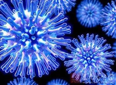 《无面时代 2 | 空间,病毒与信息》解读-17