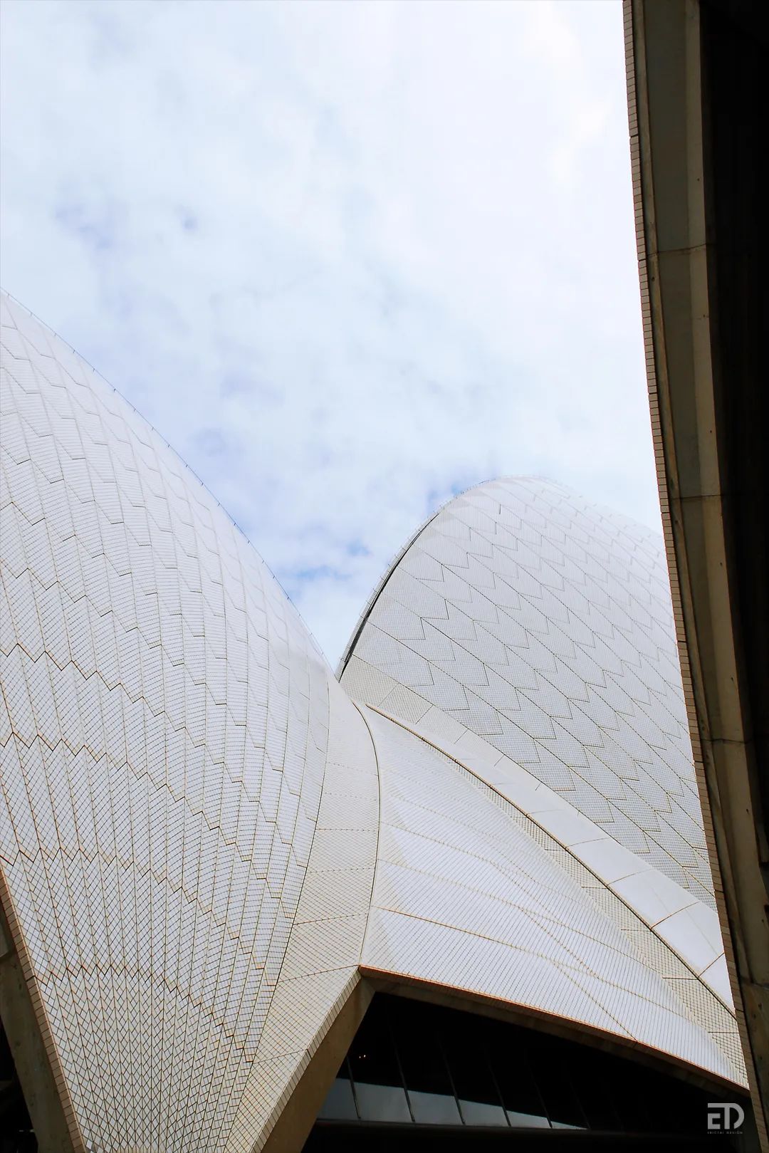 悉尼歌剧院丨澳大利亚悉尼丨戴勇-8