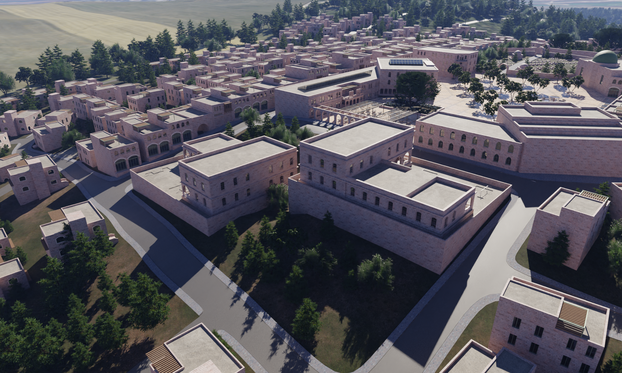 卢比亚的重建丨巴勒斯坦-25