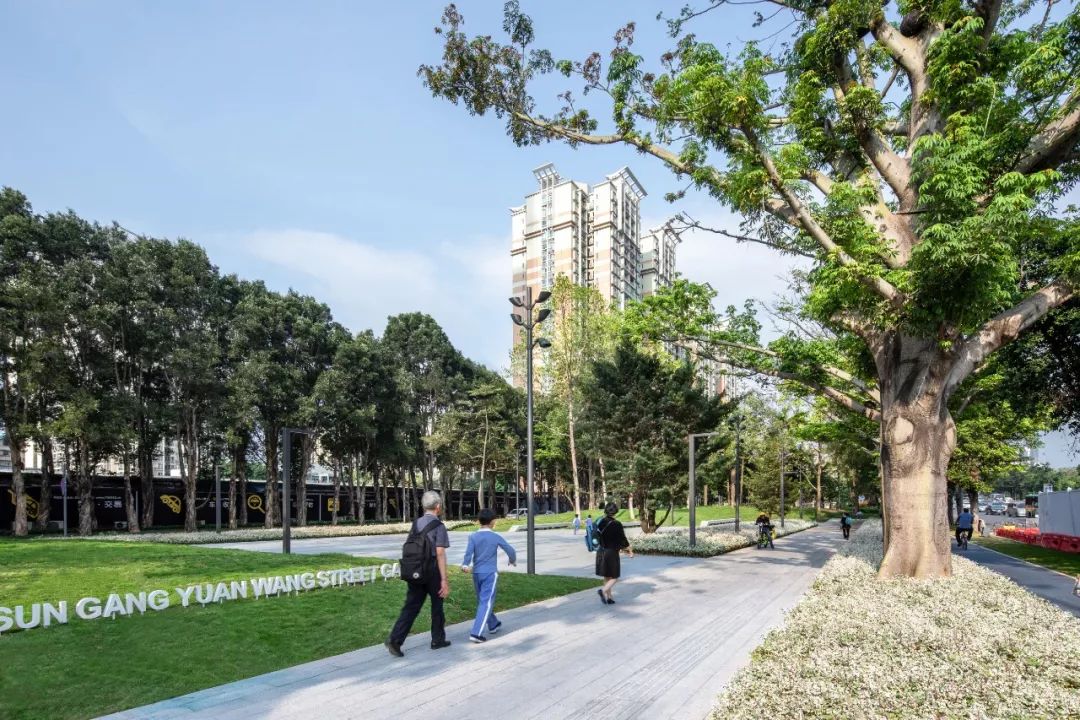 深圳罗湖“三横四纵”绿廊生活-54